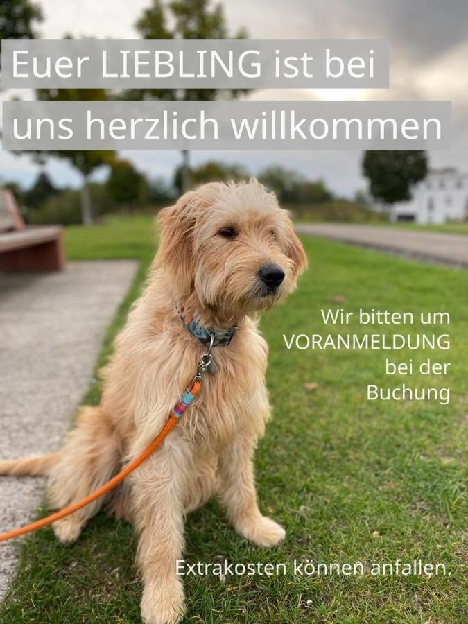 Fewo Clemens - Wohnkueche + 2 Schlafraeume + Bad + Terrasse Hamm  Bagian luar foto
